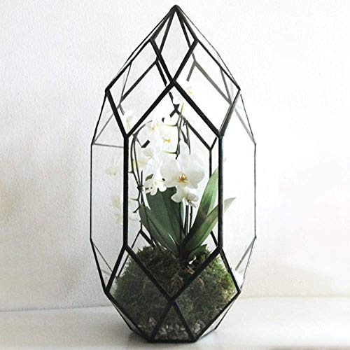 Handgefertigtes Glas Terrarium, 10 Zoll, geometrisch, schwarz | Unregelmäßige Form, Pflanzenpflanzer für Indoor-Luft Pflanzen, Fenster Balkon Anzeige, Saftig Blumentopf