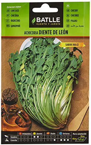 Batlle Vegetable Seeds - Chicory Silvestre Diente de León (8g)