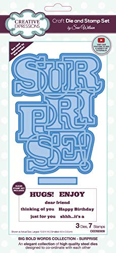 Creative Expressions Sue Wilson-Big Bold Words-Surprise-Craft - Juego de troqueles y sellos (metal, 10,9 x 14 cm)
