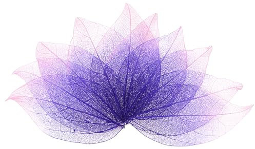 M METERXITY Paquete de 100 hojas de esqueleto, hojas secas prensadas de árbol de goma natural para resina, manualidades, tarjetas, álbumes de recortes, boda, hojas pequeñas decorativas [4-6 cm, rosa