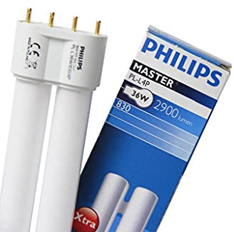 Compact FLUORESCENTE LAMP 4PIN ATTACCO 2G11 36W Warm Light PL3683