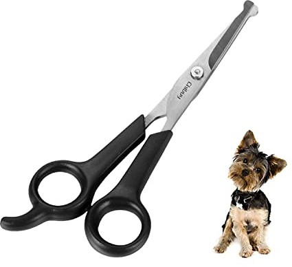 Ciseaux de toilettage professionnels avec pointe ronde en acier inoxydable pour chiens et chats - parfaits pour le contour des yeux - 17 x 6,6 x 1,1 cm