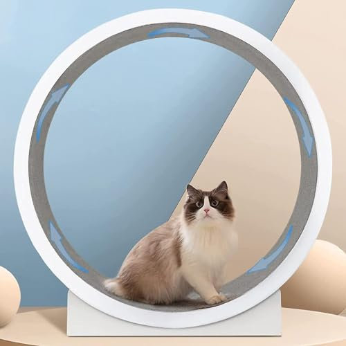 DPLXFPP Laufräder Für Katzen Für Hauskatzen, Laufband Für Katzen, Große Rolle Mit 120 cm Durchmesser, Laufrad Für Katzen Mit Teppichboden, Laufräder Für Große, Mittelgroße Und Kleine Katzen