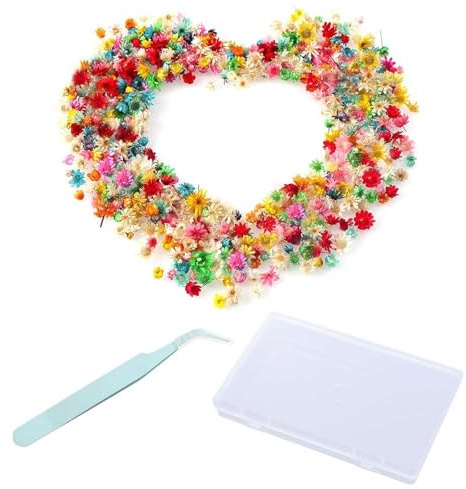 ZGDEIWGF 280 pequeñas flores secas, caja de almacenamiento, pinza de depilar para bricolaje y decoración