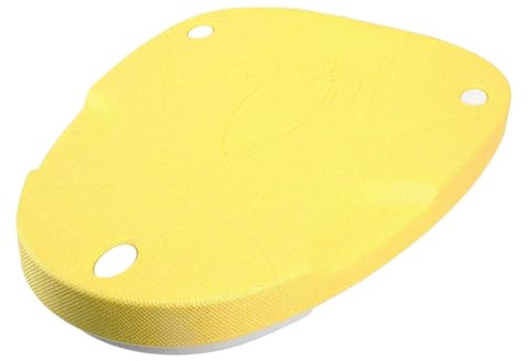 Kickboard für Schwimmtraining für Erwachsene, Elektrisch, Zum Erlernen des Schwimmens, Sichere Schwimmtrainingshilfe für Kinder und Erwachsene, Schwimmanfänger, 80 Kg (EU-Stecker)