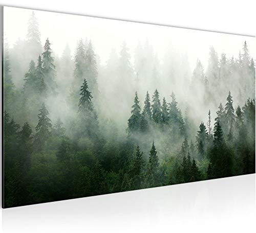 Runa Art Wandbild Wald Natur 1 Teilig 100 x 40 cm Modern Bild auf Vlies Leinwand Nebel Wohnzimmer Schlafzimmer Grün Grau 032312a