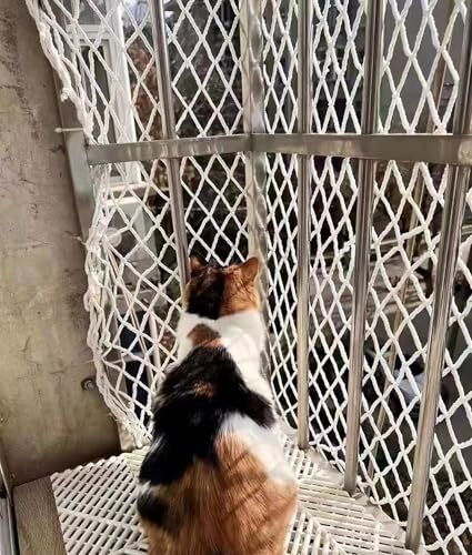 Anhängernetz Ladungssicherungsnetz Gepäcknetz Sicheres Absturzsicherungsnetz für Haustiere/Kinder/Katzen, wetterfestes Lebensmittel-Frachtnetz, Gepäcksicherungsnetz für LKW-Ladeflächen/Baustellen(3cm/