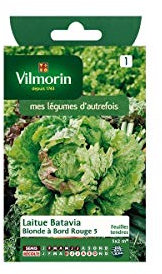Vilmorin - Sachet graines Laitue Batavia Blonde à bord rouge 5