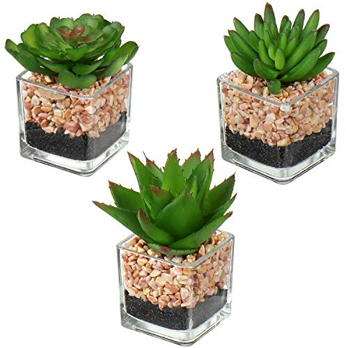Hollyone 3 Pcs Small Artificial Succulent Plants in Pots, 5x11cm Fake Potted Plants for Home, Office, Table, Desk, Bedroom, Bathroom Decor