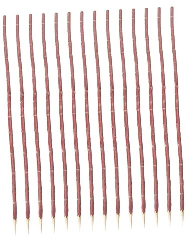 SEWOART 100pièces Brochettes De pour Barbecue Pratiques De Cuisine pour Viande Accessoires De Grillade pour Usage Intérieur Et Extérieur Rouge