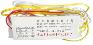 RTRCAGAKM Ballast électronique T8 220 V 20 W 30 W 36 W 40 W Redresseur Universel 1 et 2 Sorties for Lampe Fluorescente au néon(2 Output)