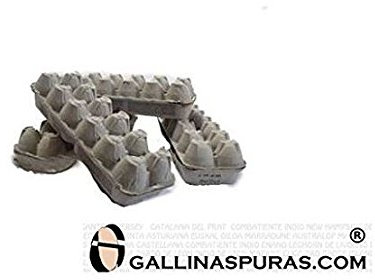 Hueveras de carton 25 unidades GALLINASPURAS.COM