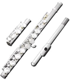 flûte traversière Instruments de flûte pour débutants Performance professionnelle flûte à trou fermé plaquée argent à 16 trous