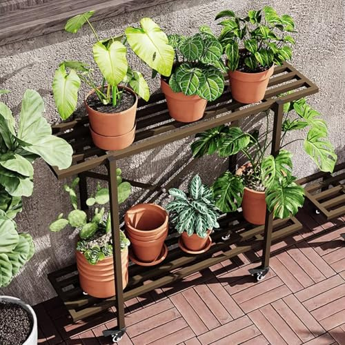 Support pour plantes d'intérieur et d'extérieur, échelle à 2 ou 3 niveaux, présentoir pour plantes de fenêtre, étagère en métal pots de fleurs, support plusieurs pots de fleurs, pour balcon et jardin(