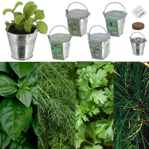 Cepewa Anzuchttöpfe 4er Set Kräutersamen | Zinkeimer Samen Kokosquellpad | Samen (1 x 4er Set Kräutersamen Zinktopf)