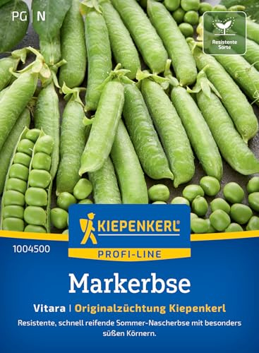 Kiepenkerl Markerbsensamen Vitara 1004500, Gemüsesaat | Inhalt für 8-10 laufende Meter, Wuchshöhe 70-80 cm