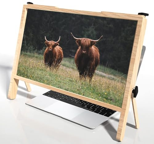 VLAGHPLE Vergrößerungsglas Für Laptop, 3D 21Inch Bildschirmlupe Leselupe Für PC Filme, Spiele Und Videos, Mit Faltbarer Ständer, Vergrößerungsglas Kompatible Tablet Laptop Und Buch (braun)