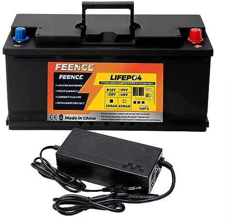 FEENCE 12V 100AH Lithium Batterie H190mm, 8000 Deep Cycle Wohnmobil Untersitz Batterie, Autobatterie Built-in 100A BMS für Wohnmobil, Solar, Off-Grid-Anwendungen