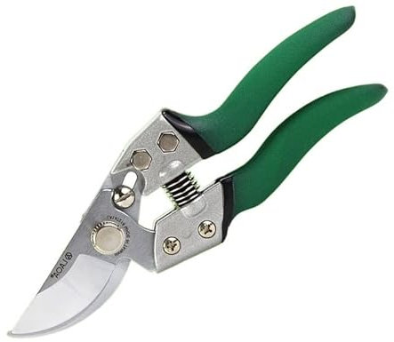 Cesoie da giardino Forbici per bonsai Forbici da potatura Strumenti per la raccolta della frutta affilati Cesoie per rami Cesoie per fiori Attrezzi da giardinaggio Attrezzi da giardinaggio