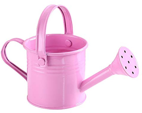 JFBUCF Metall-Gießkanne, Mini-Gießkanne, Garten, Eimer mit Griff, für drinnen und draußen, zum Bepflanzen von Blumen, Rosa