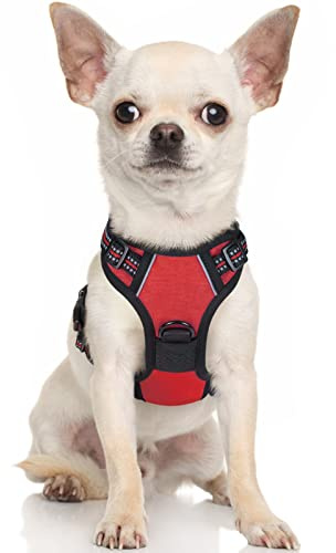 rabbitgoo Hundegeschirr Kleine Hunde Anti Zug mit Griff, XS, Rot