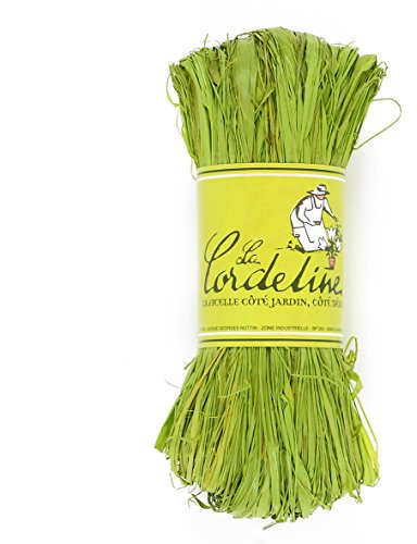 La Cordeline JN50B Bast apfelgrün 50 g