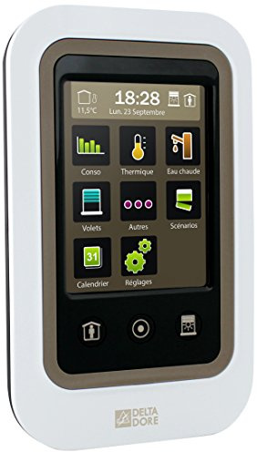 Delta Dore 6050600 Calybox 2020 WT Gestionnaire d'énergie 2 zones avec indicateur de consommations toutes énergies