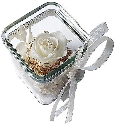 BEIJA FLOR Handgefertigte konservierte Rose im Glaswürfel 8 cm - Echte Ewige Rose - 3 Jahre haltbar - stilvolle Dekoration mit Infinity Rose - Geschenk für jeden Anlass – Made in Germany (Weiß)
