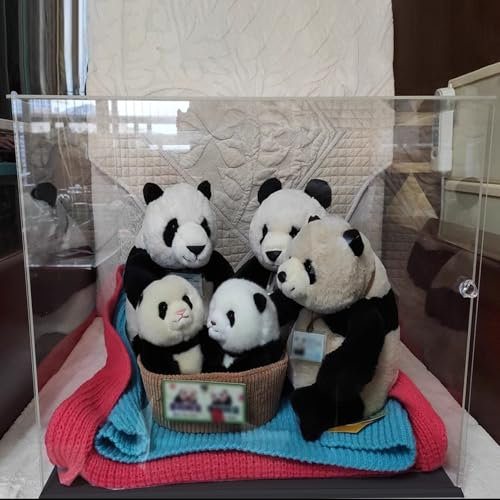 Acryl Vitrine Aufbewahrungsbox aus Transparentem Acryl für Stofftiere, Kunststoff-Vitrinenbox als Alternative zu Glasvitrine mit Tür, Staubdichter, Quadratischer Präsentationsständer(35x35x45cm(14x14x