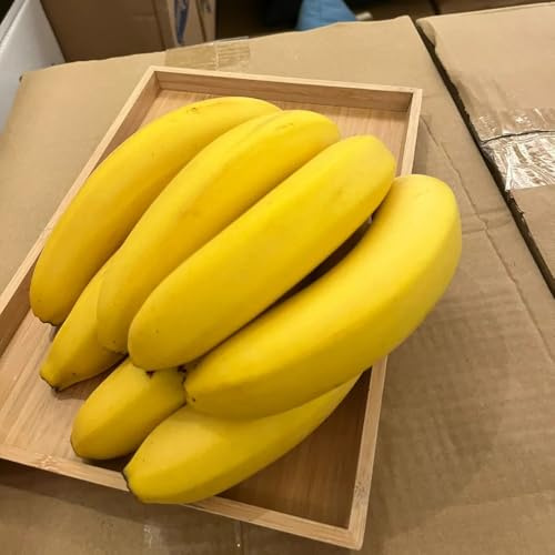 bananen - bananensamen nachhaltige geschenke bananenbaum gartenpflanzen winterhart mehrjährig winterharte garten kübelpflanzen topfpflanzen draußen winterhart blühend bonsai 200samen
