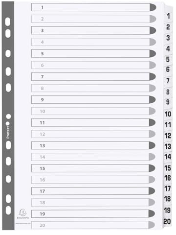 Exacompta MWD1-20Z 15er Pack Karton-Register 1-20 für DIN A4 aus Karton 20-teilig volle Höhe 21 x 29,7 cm weiß, verstärkte Taben mit Indexseite Trennblätter Trennstreifen Ordner-Register