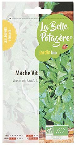 Graines bio mâche Vit 1g AB, la belle potagère