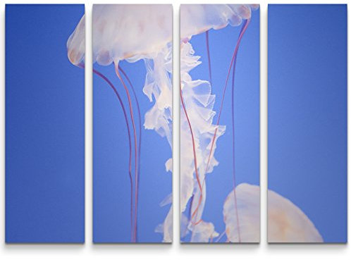 Paul Sinus Art Leinwandbilder | Bilder Leinwand 130x90cm 4 Teile Medusa Qualle