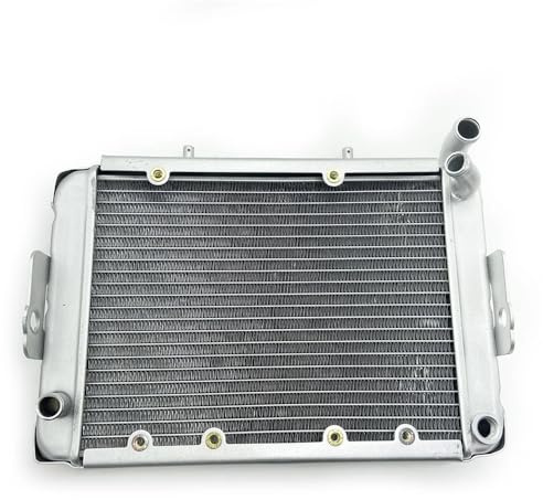 Macchina di raffreddamento del radiatore ad acqua per compatibile LINHAI 300 ATV Linhai LH300 CUV 4WD