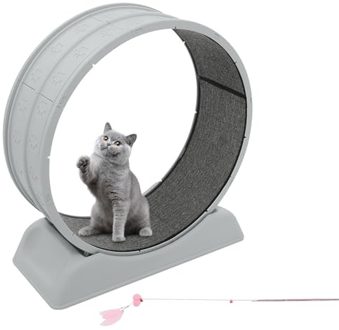 LKHDONG Katzenlaufrad 80cm Laufband für Katzen, Leises Katzen Laufrad Katzenlaufrad für Hauskatzen, Cat Wheel mit Teppichboden und Katzenangel, Trainingslaufrad für Haustiergesundheit (Grey)