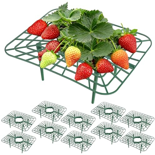 Staranry 10 Piezas de Protección Contra La Putrefacción y El Moho, Soporte Plantas, Soporte para Plantas para Fresas para Accesorios de Jardín, Rejilla de Fresa (Verde)