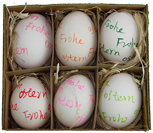 osters muschel-sammler-shop 6 Hühnereier Frohe Ostern/Ostereier/Osterdekoration/Frühjahresdekoration/bemalte Ostereier
