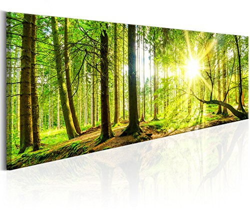 murando - Leinwandbild Wald Natur Bäume, 150x50 cm, 1-teilig, Schlafzimmer | Hochwertige Leinwand, sofort aufhängbar, ideal fürs Wohn- oder Schlafzimmer, wasserfest und lichtecht, langlebig, stilvoll