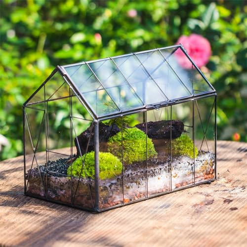 NCYP 23,9x14x18,5 cm nero Terrario in vetro con coperchio per piccole piante, vintage piccola serra a forma di casa chiusa, decorazione geometrica da tavolo (Senza Piante, Solo Terrario)