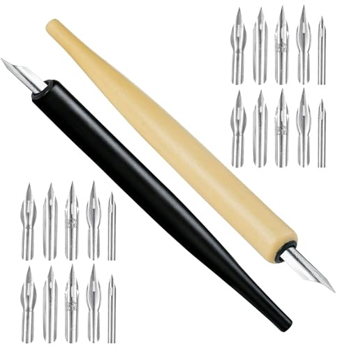 Rbleote 2 Plume Encre De Chine Plume Calligraphie 20 Pointes De Stylo Stylo À Encre Adapté Au Dessin À L'Écriture Et À La Calligraphie