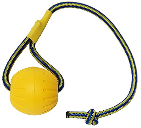 Balle pour Chien avec Corde, Balle de Dressage pour Chien en Mousse, Balle Flottante pour Chien, Petit Jouet de Remorqueur pour Chien de Grande Taille (Grande Boule)