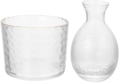 TOPBATHY Japanese Sake Decanter and Warmer Set with Ice Bucket Ceramic Sake Pot for Hot and Cold Use Winter and Summer for Traditional Serving Set Random Color