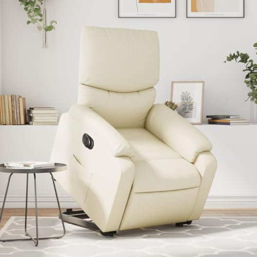 IKAYAA Elektrischer Fernsehsessel mit Aufstehhilfe Elektrisch Verstellbar Sessel Wohnzimmer Relaxsessel mit Liegefunktion Relaxliege Schlafzimmer Liegesessel Lesesessel Aufstehsessel Kunstleder
