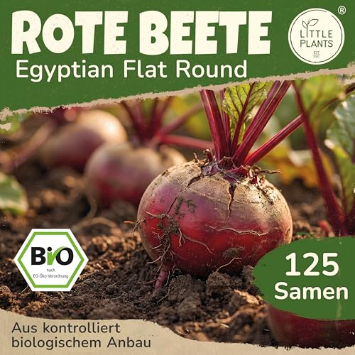 Little Plants BIO Rote Beete Samen 125 Rote Bete Samen Egyptian Flat Round Gemüsesamen für Gemüsegarten Samenfest Gemüse Samen für Küche, Balkon und Garten