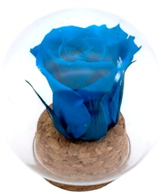 ROSA BLU TURCHESE conservato. Cupola in vetro. Rosa eterna blu. Acquista Rose Blu. Fiori conservati. Cupola in vetro. Regalo originale, compleanno, anniversario, decorazione.