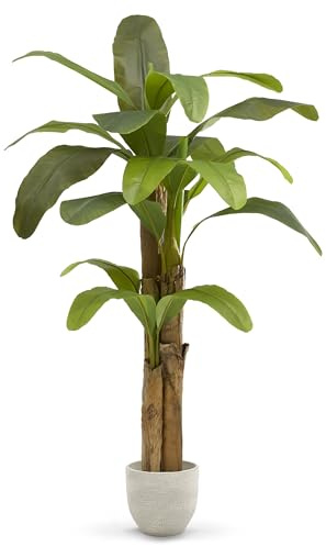 Maia Shop | Bananier Artificiel | Plante Artificielle interiur | Mesures: 180 x 90 cm | Plante Artificielle Grande | Fausse Plante | Décoration