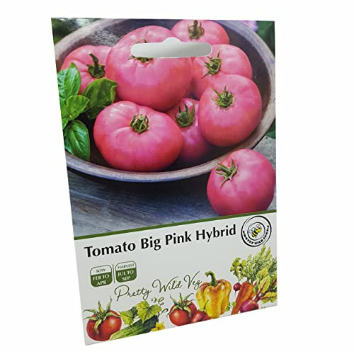 Big Pink F1 Tomato Seeds in Pictorial Packet from UK Seller