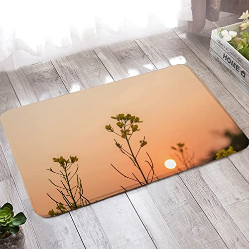 Banemi Paillasson 50X80, Tapis D Entree Interieur Absorbant Motif Lever de Soleil et Fleurs Décorations pour la Maison