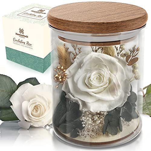 Weiße Rose in einer Glaskuppel - Premium echte Rosen, die ein Jahr oder länger halten - Muttertag einzigartige Geschenke für sie konservierte Rosen - Forever Flower Decor Konservierte Blumen - Ewige