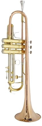 Professionell Trompete Trompete in B-Dur für Anfänger für Spielen des Musikinstruments für die Einstufungsprüfung